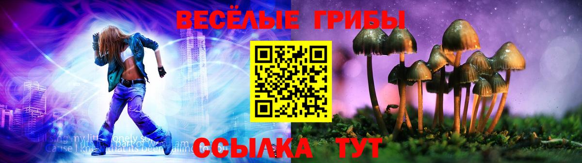 Губаха  Псилоцибиновые грибы ЛСД  Вход с VPN 